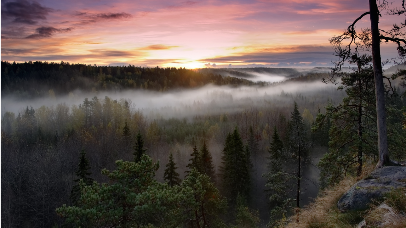 nuuksio